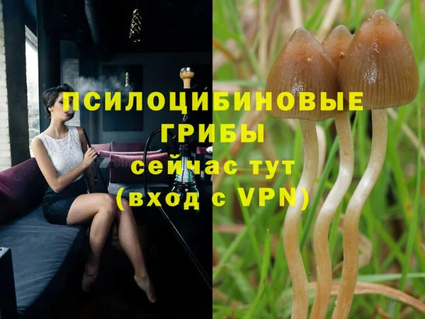 тгк Алексин