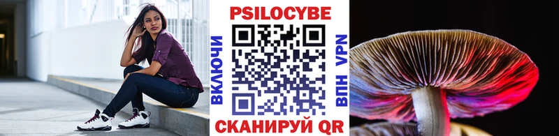 Псилоцибиновые грибы Cubensis  где купить наркотик  Чехов 
